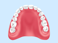 保険適用の入れ歯