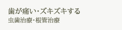 歯が痛い・ズキズキする 虫歯治療・根管治療